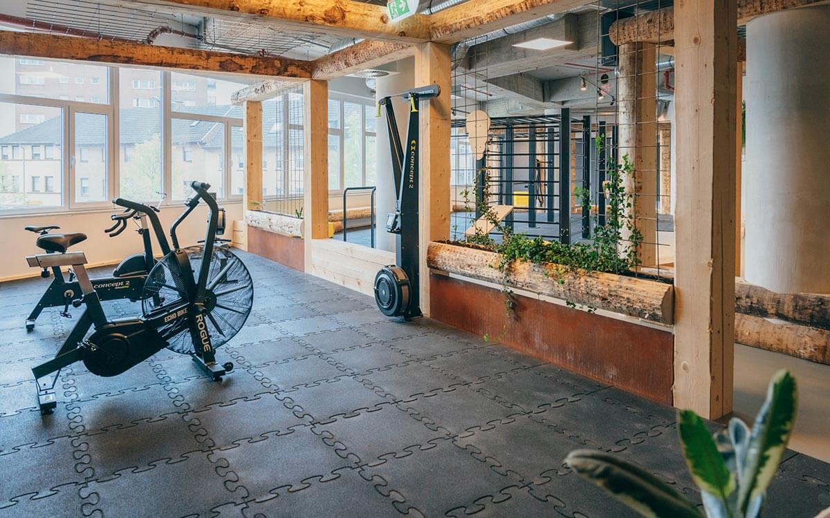 Cardio-Zone mit modernen Fahrradergometern und Rudergeräten im Stuntwerk Troisdorf. Große Fensterfront sorgt für Tageslicht und offene Trainingsatmosphäre.