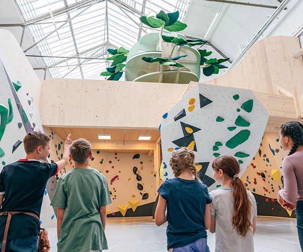 5 Kinder stehen mit dem Rücken zur Kamera im Stuntwerk Köln Mülheim gemeinsam vor dem Mixed Boulder Bereich mit Kletterbaum, Spielbereich und Geheim-Tunnelgängen für die Kids, im Stockwerk tiefer ein Boulderbereich für Familien. Der Junge ganz links zeigt auf den Kletterbaum.